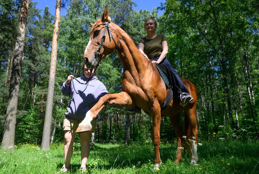 <p><b style="font-family: Montserrat; font-size: 14px;">Как ипотерапия помогает справиться с горем</b></p><p><br></p><p><span style="font-family: Montserrat; font-size: 14px;">#с большим удивительным существом</span></p><p><span style="font-family: Montserrat; font-size: 14px;">#снизить тяжесть потери</span></p><p><span style="font-family: Montserrat; font-size: 14px;">#после долгого стресса</span></p>