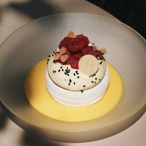 pavlova 