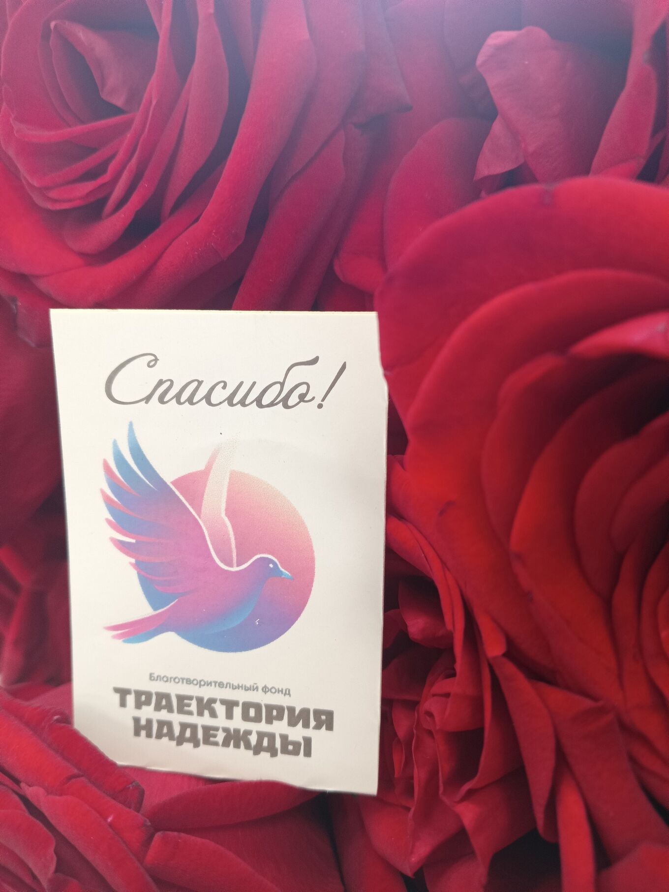 <p><b style="font-family: Oswald; color: rgb(81, 60, 111); font-size: 28px;">Как участвовать в акции:</b></p>