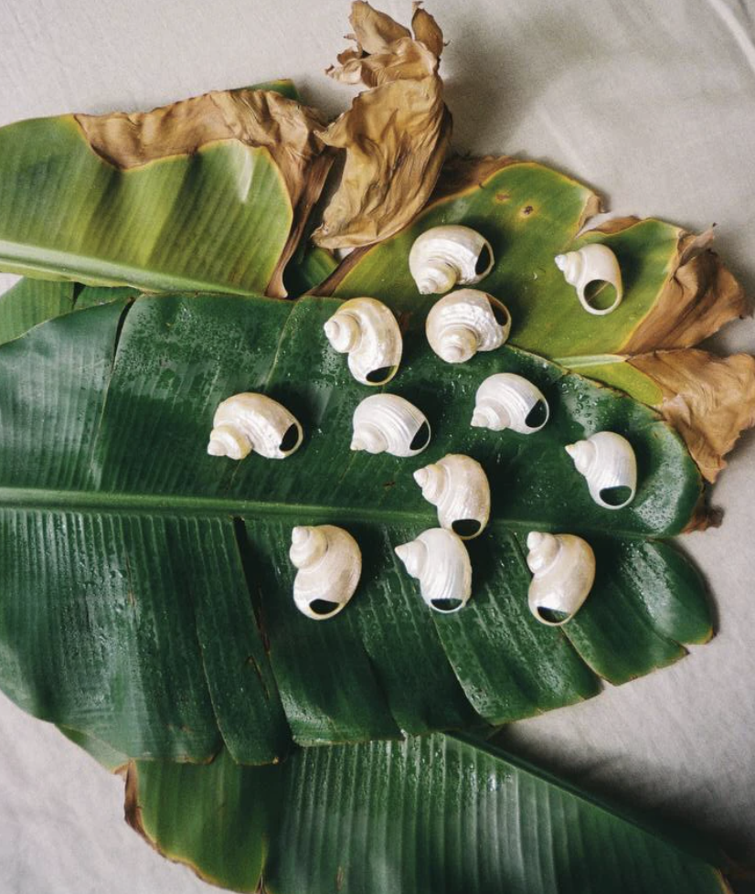 <p>[Кольца]</p>