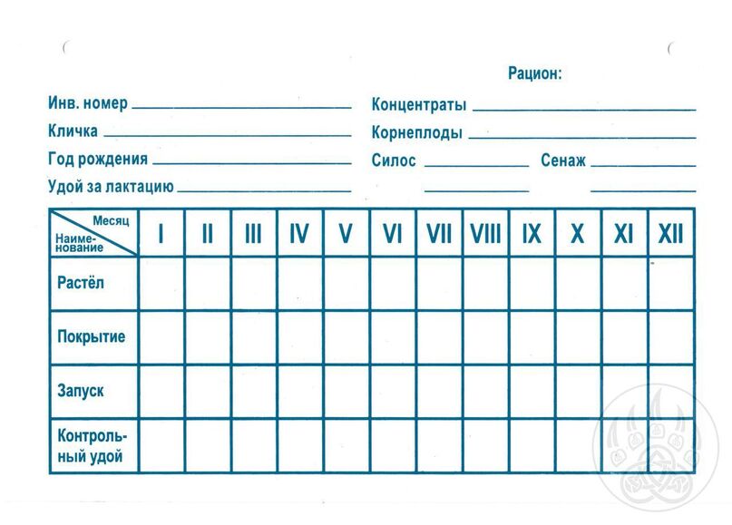 Трафарет (карточка) информационный для КРС Veles-zoo
