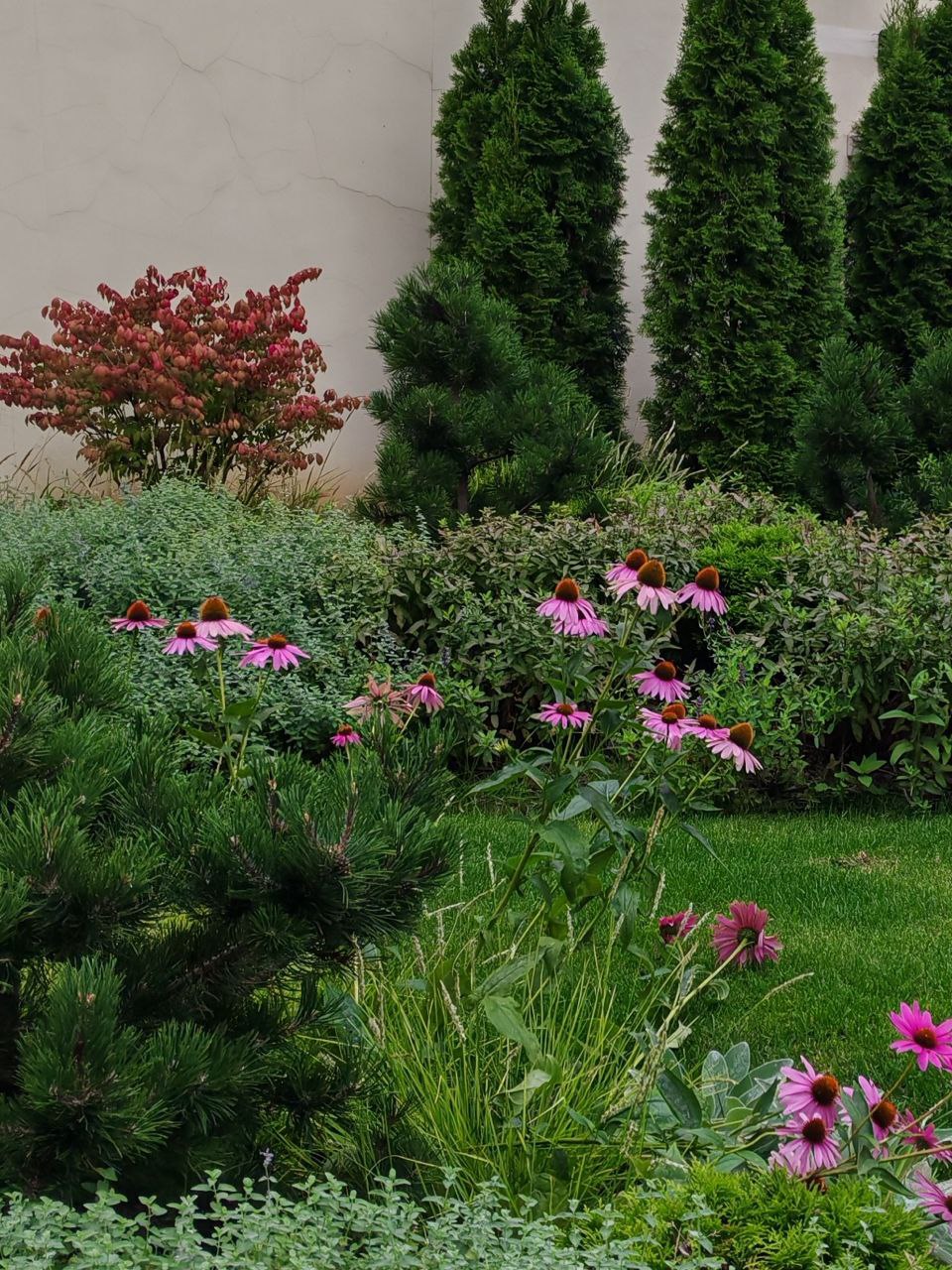 <p>Монастырский сад</p>