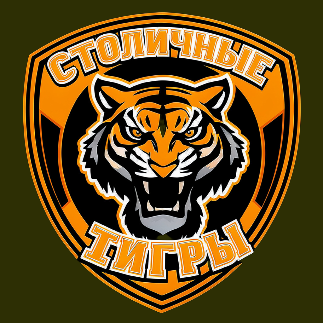 <p><b style="font-size: 24px;"><span class="ql-cursor">﻿</span></b><span style="font-size: 32px;">Футбольный клуб</span></p>