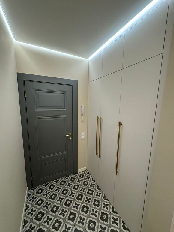 Шкаф распашной в прихожую с подсветкой